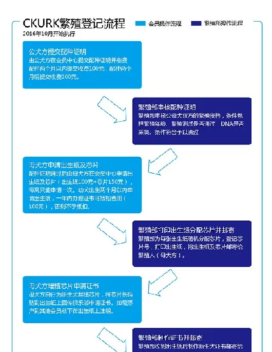 CKURK出生纸及芯片埋植办法调整 | 宠物新闻资讯