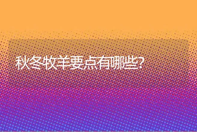 秋冬牧羊要点有哪些？ | 动物养殖