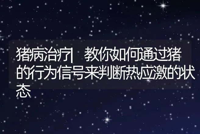 猪病治疗|教你如何通过猪的行为信号来判断热应激的状态 | 家畜养殖