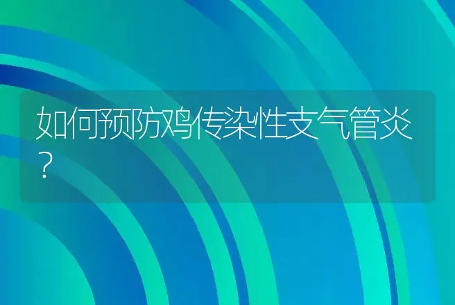 如何预防鸡传染性支气管炎？ | 兽医知识大全