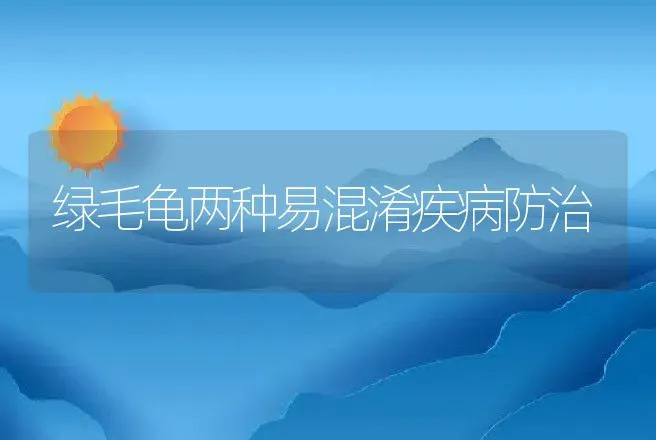 绿毛龟两种易混淆疾病防治 | 动物养殖