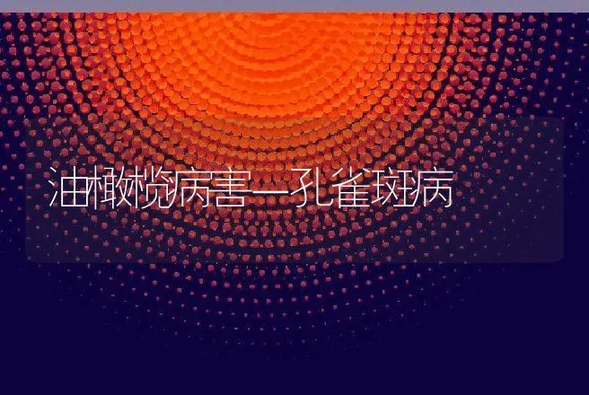 油橄榄病害－孔雀斑病 | 特种养殖