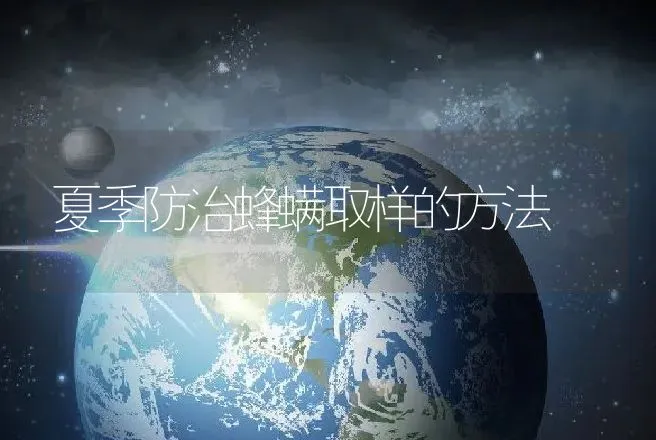 夏季防治蜂螨取样的方法 | 动物养殖