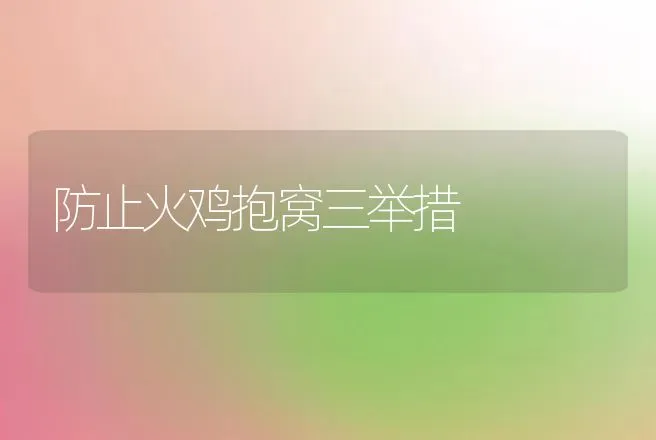 防止火鸡抱窝三举措 | 动物养殖