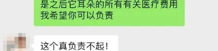 茶杯犬、折耳猫、断尾……那些死在整容里的宠物有多痛苦? | 宠物新闻资讯