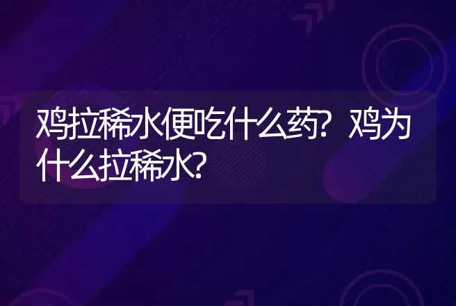 鸡拉稀水便吃什么药?鸡为什么拉稀水? | 兽医知识大全