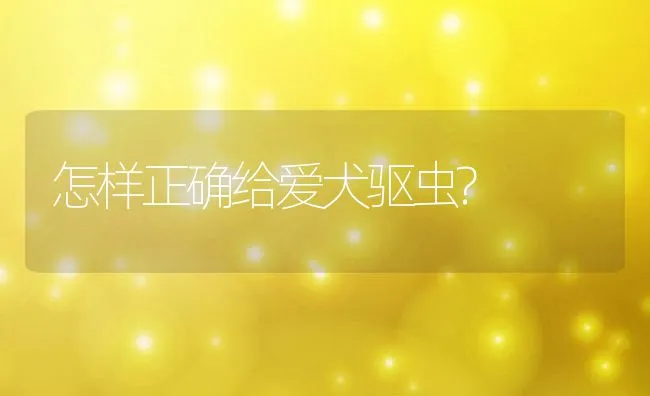 怎样正确给爱犬驱虫? | 宠物趣闻