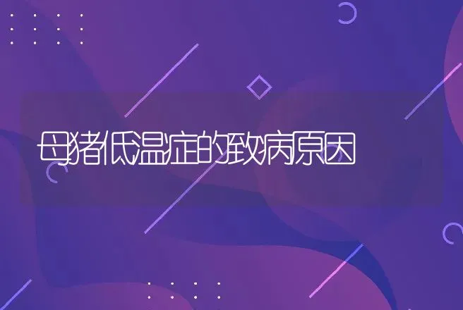 母猪低温症的致病原因 | 动物养殖