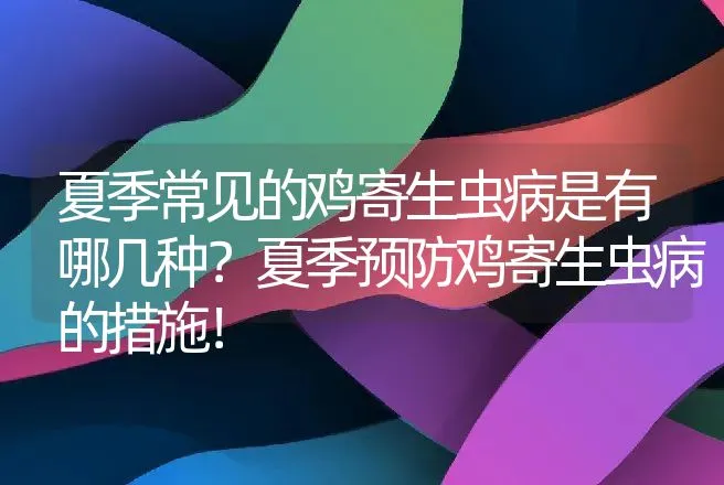 夏季常见的鸡寄生虫病是有哪几种？夏季预防鸡寄生虫病的措施！ | 兽医知识大全