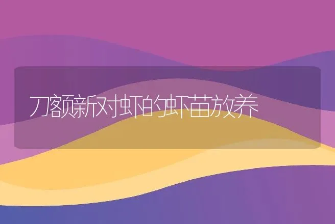 刀额新对虾的虾苗放养 | 动物养殖