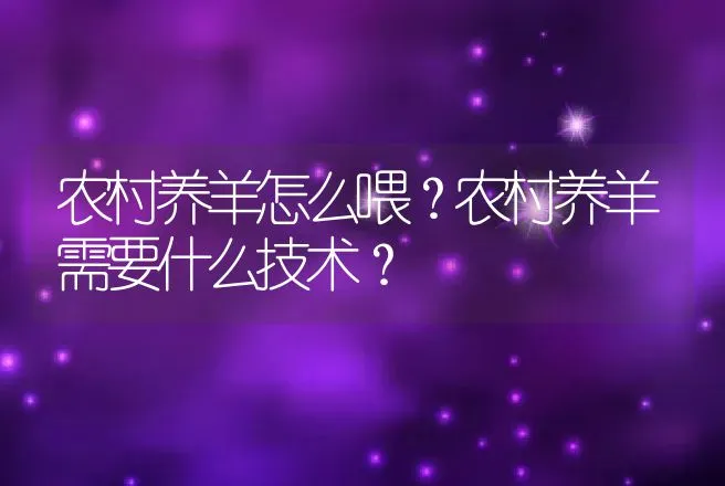 农村养羊怎么喂？农村养羊需要什么技术？ | 家畜养殖