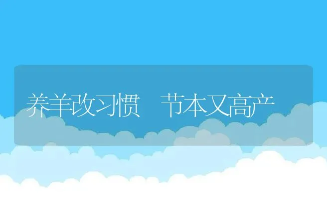 养羊改习惯 节本又高产 | 动物养殖