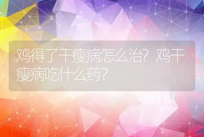 鸡得了干瘦病怎么治?鸡干瘦病吃什么药？ | 兽医知识大全