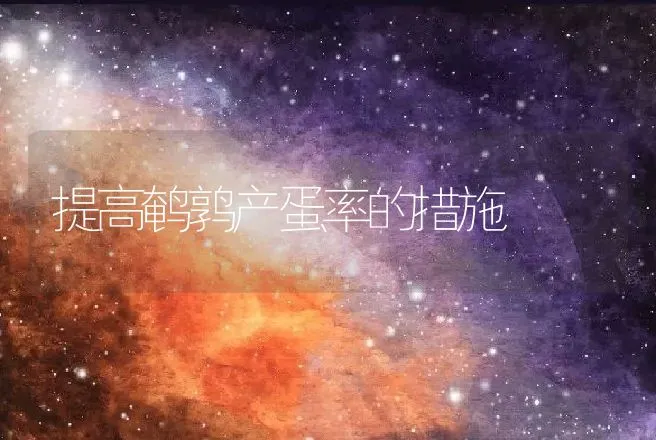 提高鹌鹑产蛋率的措施 | 动物养殖