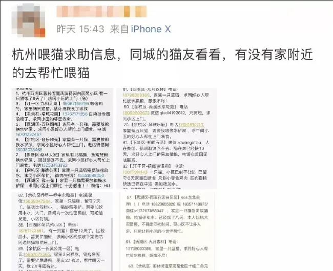 急救！杭州滞留家中无人喂养的猫咪！ | 宠物新闻资讯