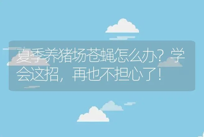 夏季养猪场苍蝇怎么办？学会这招，再也不担心了！ | 家畜养殖