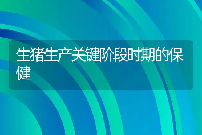 生猪生产关键阶段时期的保健 | 动物养殖