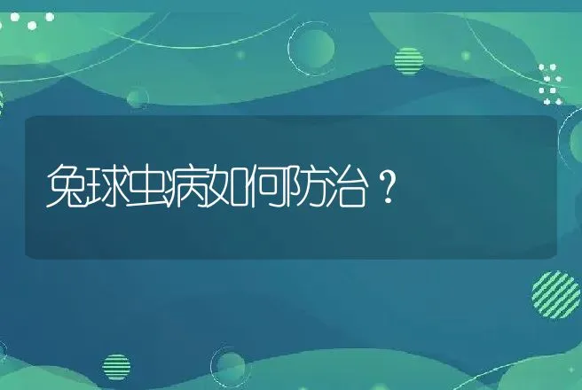 兔球虫病如何防治？ | 动物养殖