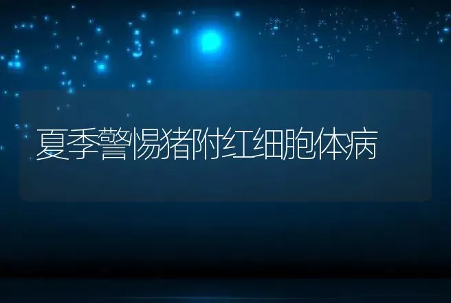 夏季警惕猪附红细胞体病 | 兽医知识大全