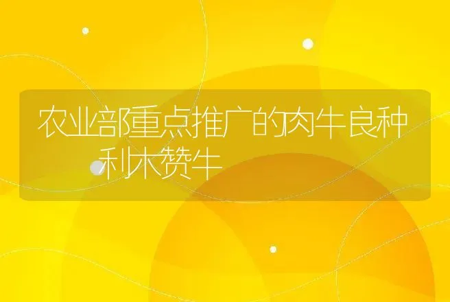 农业部重点推广的肉牛良种――利木赞牛 | 动物养殖