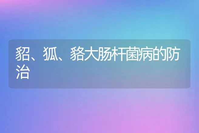 貂、狐、貉大肠杆菌病的防治 | 动物养殖