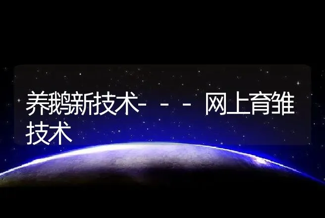 养鹅新技术---网上育雏技术 | 家禽养殖