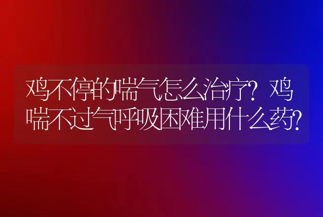 鸡不停的喘气怎么治疗？鸡喘不过气呼吸困难用什么药？ | 兽医知识大全