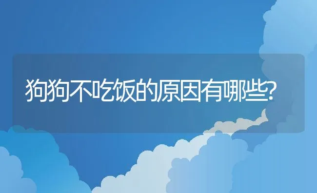 给哈士奇打疫苗的知识 | 宠物趣闻