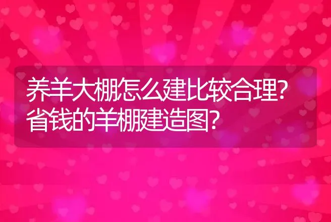 养羊大棚怎么建比较合理？省钱的羊棚建造图？ | 兽医知识大全