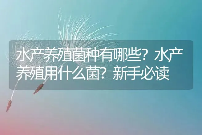 水产养殖菌种有哪些？水产养殖用什么菌？新手必读 | 水产知识