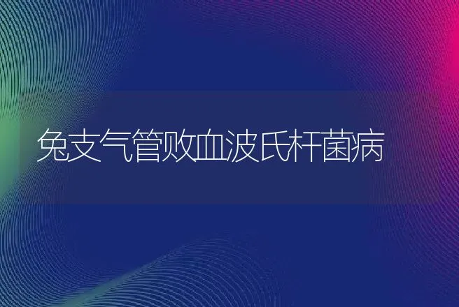 兔支气管败血波氏杆菌病 | 动物养殖