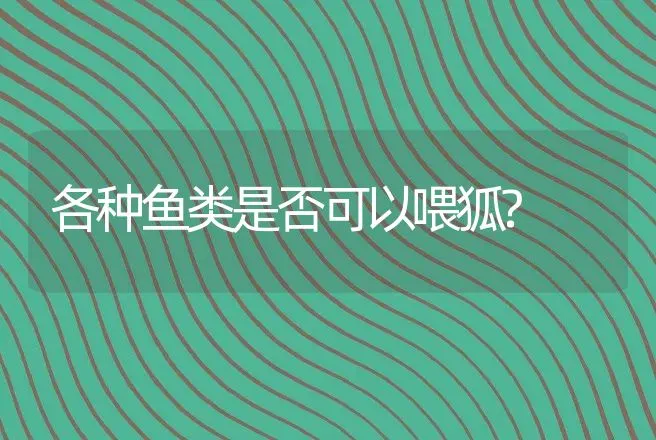 各种鱼类是否可以喂狐? | 特种养殖