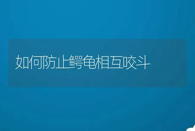 狗的春季健康护理 | 动物养殖