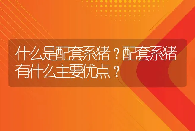 什么是配套系猪？配套系猪有什么主要优点？ | 动物养殖