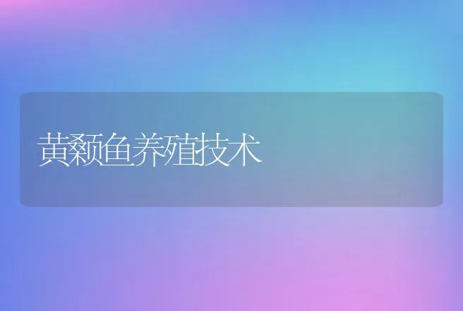 黄颡鱼养殖技术 | 动物养殖