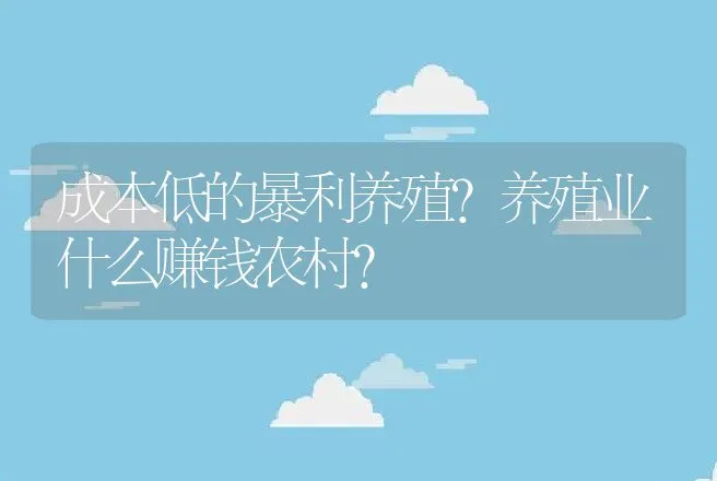 成本低的暴利养殖？养殖业什么赚钱农村？ | 养殖致富