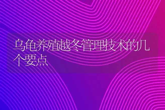 乌龟养殖越冬管理技术的几个要点 | 动物养殖