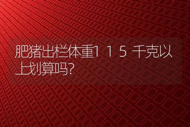 肥猪出栏体重115千克以上划算吗？ | 动物养殖