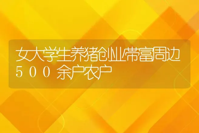 女大学生养猪创业帯富周边500余户农户 | 养殖致富