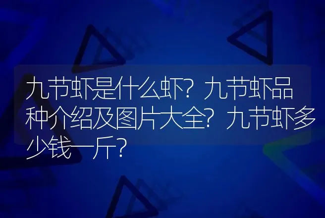 九节虾是什么虾？九节虾品种介绍及图片大全?九节虾多少钱一斤？ | 动物养殖