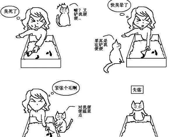 猫咪行为图解:养过猫的都懂 | 宠物喂养知识