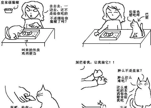 猫咪行为图解:养过猫的都懂 | 宠物喂养知识