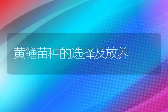 黄鳝苗种的选择及放养 | 动物养殖