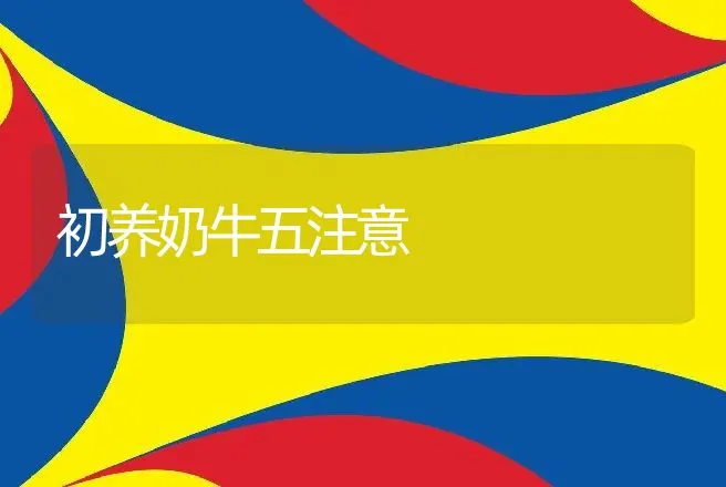 初养奶牛五注意 | 动物养殖