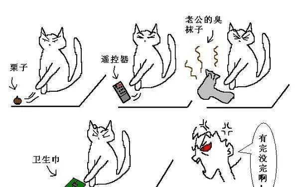 猫咪行为图解:养过猫的都懂 | 宠物喂养知识