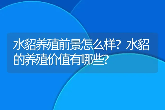 水貂养殖前景怎么样？水貂的养殖价值有哪些? | 养殖致富