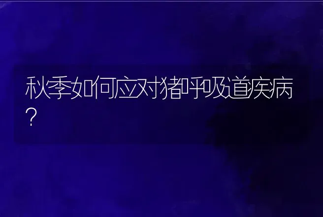 秋季如何应对猪呼吸道疾病？ | 兽医知识大全