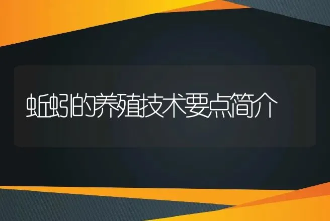 蚯蚓的养殖技术要点简介 | 特种养殖