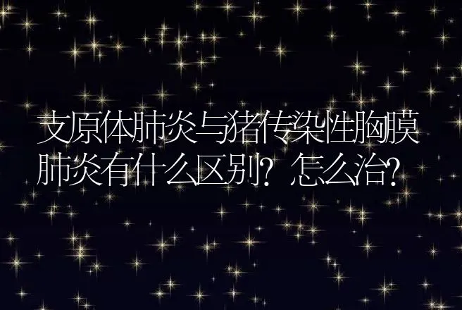 支原体肺炎与猪传染性胸膜肺炎有什么区别？怎么治？ | 家畜养殖