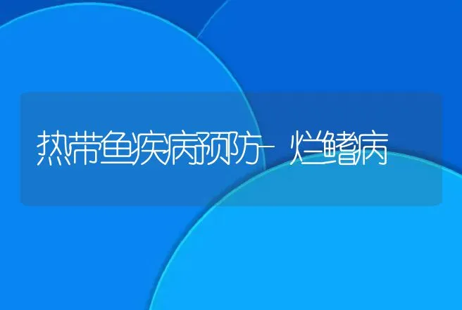 热带鱼疾病预防-烂鳍病 | 动物养殖